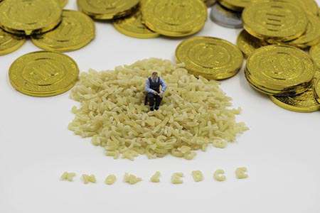 主力合约期货行情（主力合约期货行情走势）